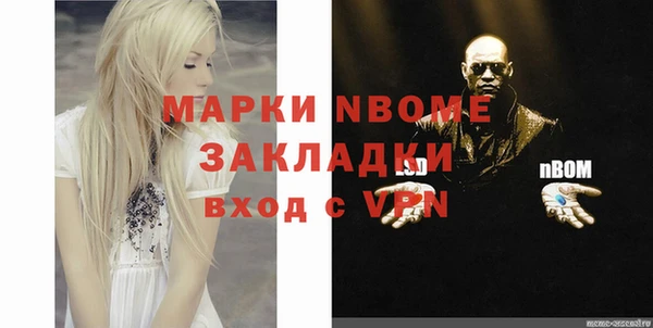 крисы Бородино
