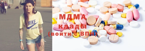 крисы Бородино
