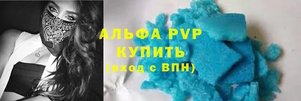 крисы Бородино