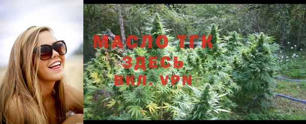 крисы Бородино