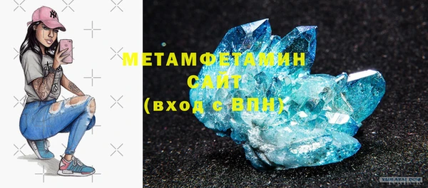 крисы Бородино