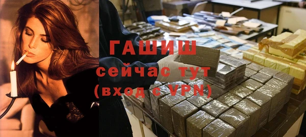 крисы Бородино