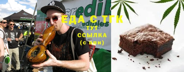 крисы Бородино
