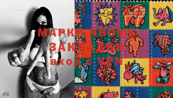 крисы Бородино
