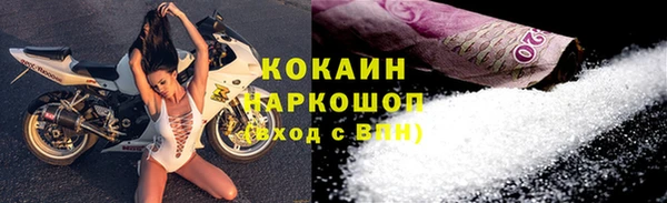 крисы Бородино