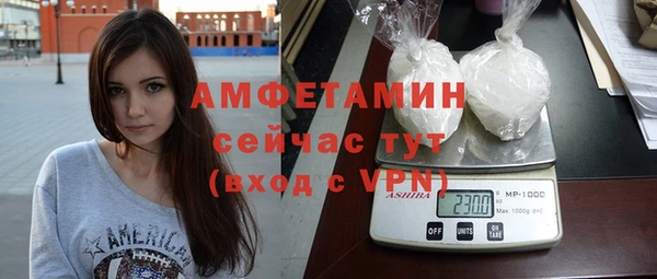 крисы Бородино
