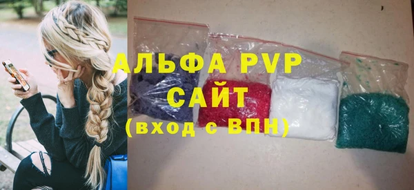 крисы Бородино
