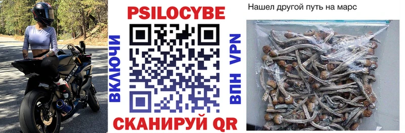 наркотики  Грязовец  Галлюциногенные грибы Magic Shrooms 