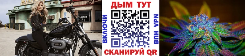 дарнет шоп  МЕГА зеркало  Каннабис сатива  Грязовец 
